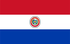 Encuestas de investigación de mercado del Panel TGM en Paraguay